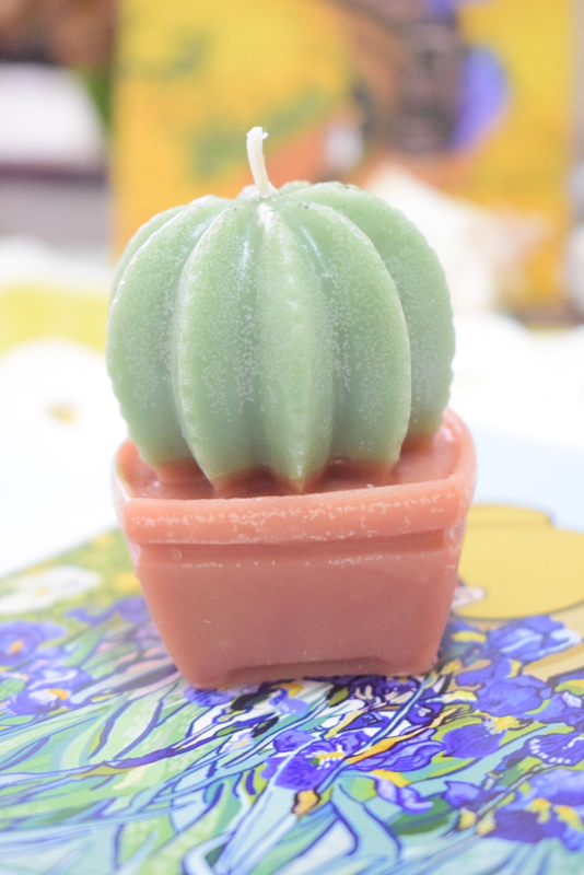 Scented Plant Candle Eco Friendly Handmade