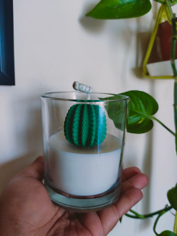 img20230128161027_eb168511-2ada-4358-813c-82d900841e2d-4x