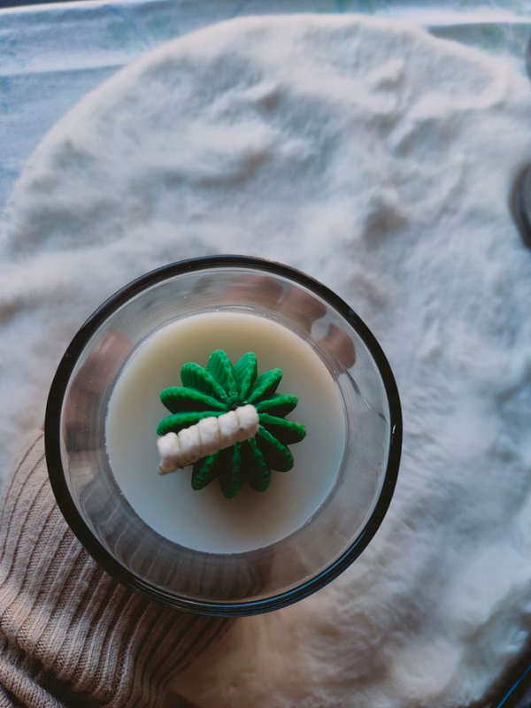 Succulent Candle (cactus)